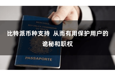 比特派币种支持  从而有用保护用户的诡秘和职权